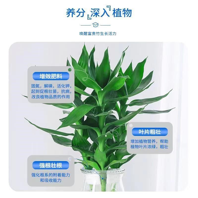富贵竹专用营养液k急救叶子发黄转运竹干尖防烂根叶黄肥料水培植,鲜花速递/花卉仿真/绿植园艺,家庭园艺肥料,淘宝优惠券,粉丝福利购,淘宝优惠卷