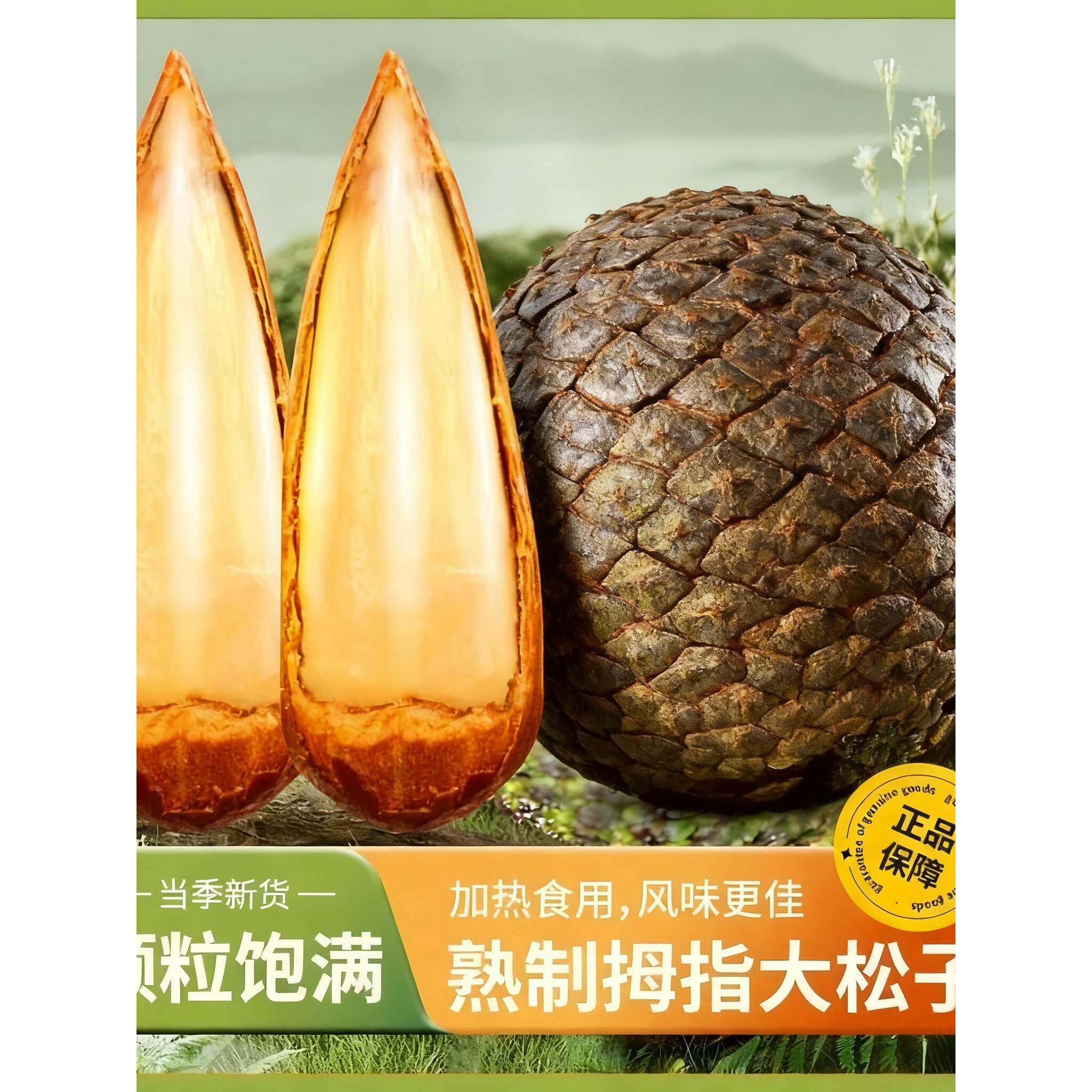 央妈推荐云南巴拉那松子官方旗舰店正品2025新货特级特大坚果礼盒