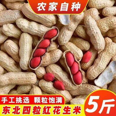 2025新红皮花生生花生带壳花生四粒红皮花生50g5斤新货晒干价