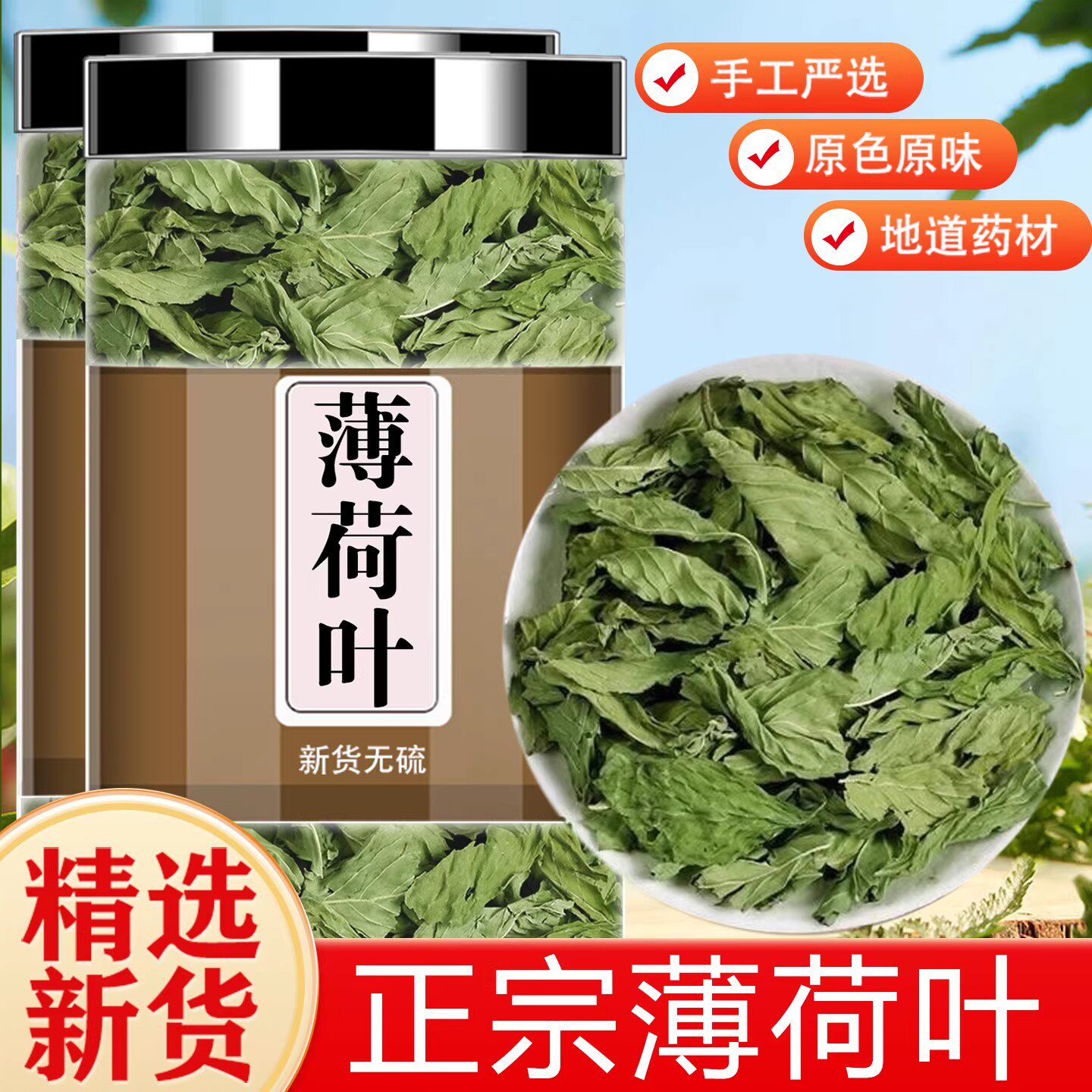 薄荷叶干薄荷茶新鲜干货薄荷叶薄何茶食用泡水正品泡水泡茶薄荷叶