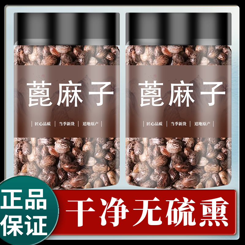 蓖麻子中药材500克新货非野生蓖麻籽红蓖麻籽仁熟蓖麻子大麻子