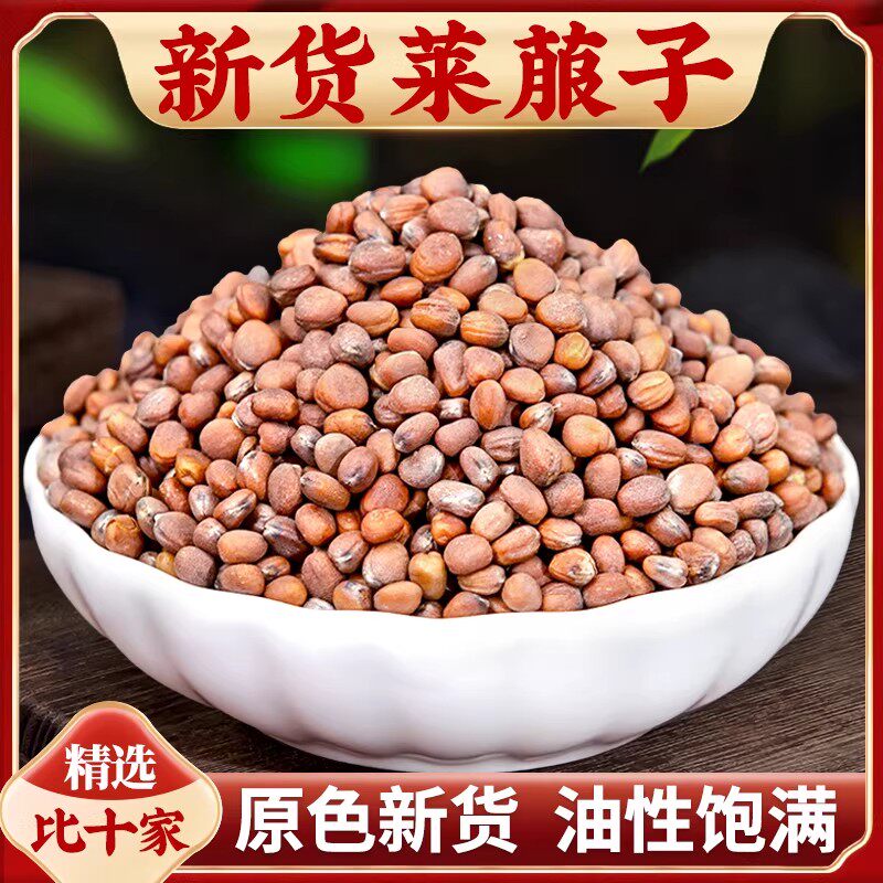 莱菔子中药材500/250g精选莱服子粉白萝卜籽粉来福子紫苏子白芥子