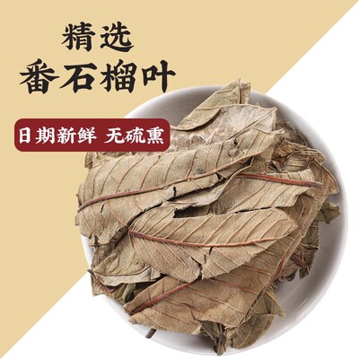 番石榴叶泡茶泡水正品芭乐叶藩石榴叶子降糖茶新鲜干货无硫番桃叶