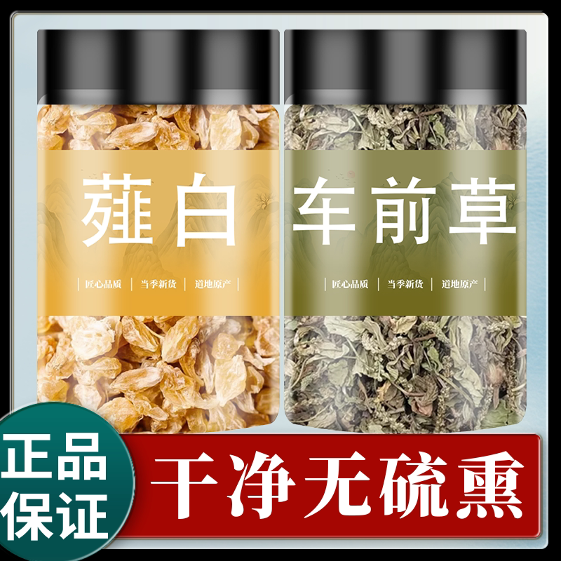 薤白车前草中药材煮水的功效新鲜干货正品生薤白头山蒜小野蒜泡水