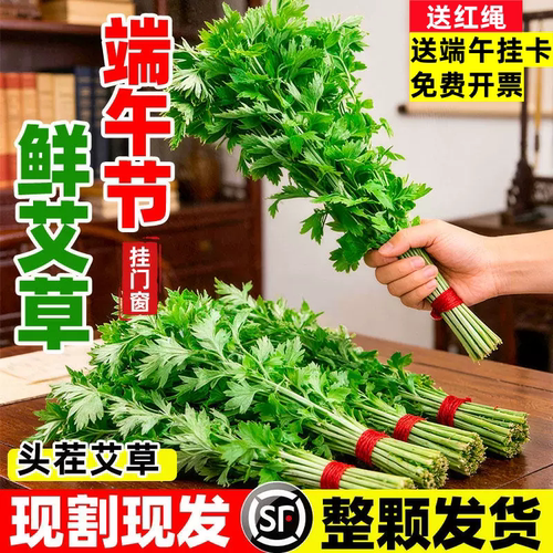 端午节新鲜艾草花束艾叶草手工diy材料香包驱蚊门挂菖蒲鲜花挂饰