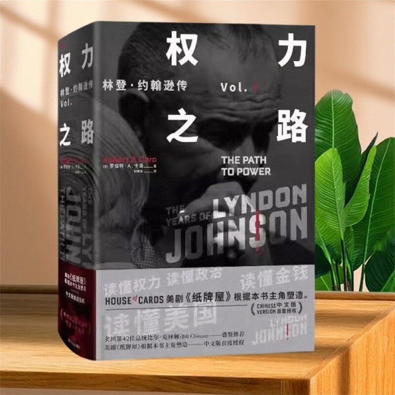 权力之路林登·约翰逊传1