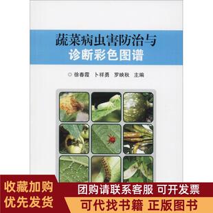 正版图书 蔬菜病虫害防治与诊断彩色图谱徐春霞卜祥勇罗映秋徐春霞卜祥勇罗映秋中国农业科学技术出版社