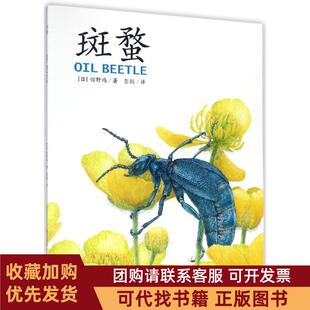 正版图书 斑蝥馆野鸿彭懿上海文化出版社