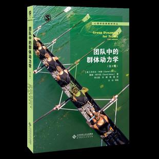 正版图书 团队中的群体动力学丹尼尔利维戴维阿什凯北京师范大学出版社