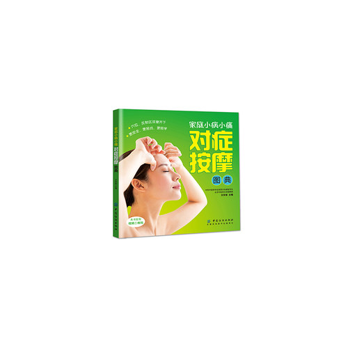 正版图书 家庭小病小痛对症按摩图典王东坡中国纺织出版社