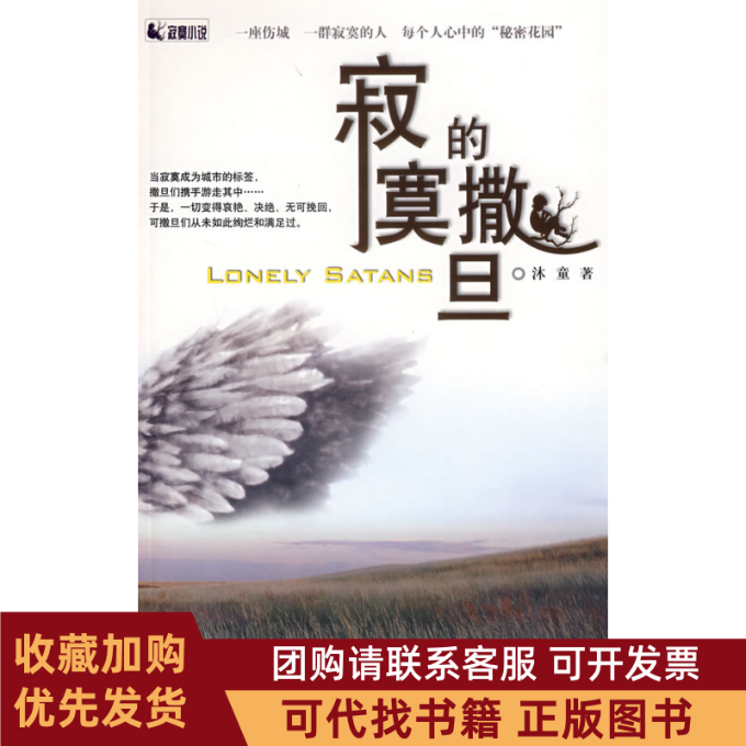 正版图书 寂寞的撒旦沐童北方文艺出版社,书籍/杂志/报纸,其它小说,淘宝优惠券,粉丝福利购,淘宝优惠卷
