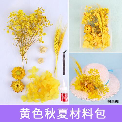 成人儿童手工diy干花材料包 儿童节幼儿园真花装饰永生花S629