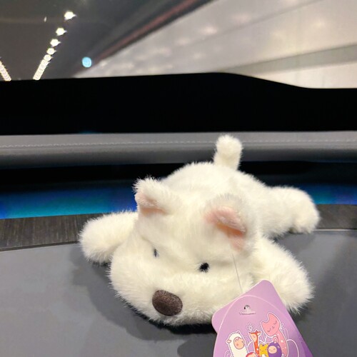 趴趴西高地小狗水豚毛绒公仔冰箱贴磁力贴小米yu7车载点位磁吸贴