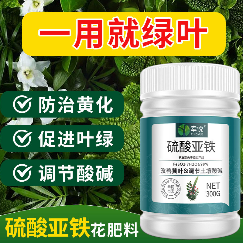 硫酸亚铁肥料花卉专用肥栀子专植物E室内花盆家庭园艺水溶肥酸性,鲜花速递/花卉仿真/绿植园艺,家庭园艺肥料,淘宝优惠券,粉丝福利购,淘宝优惠卷
