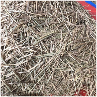 铡刀铡短的稻草装饰碎稻草t墙面草纤维保暖铺垫水稻秸秆5斤包邮价
