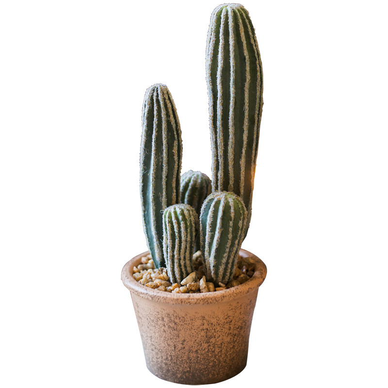 掬涵 蓝爱神木 仿真仙人掌盆景装饰F摆件 仙人柱仙人球另类礼物,家居饰品,仿真植物盆景,淘宝优惠券,粉丝福利购,淘宝优惠卷