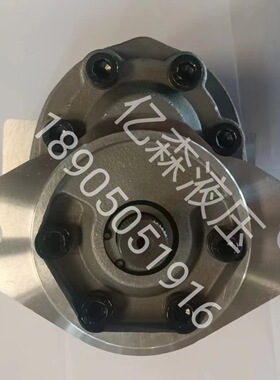 替代伊顿EATON齿轮泵26007-RSE 25507-RZC 26008-LZH 26003-RZB