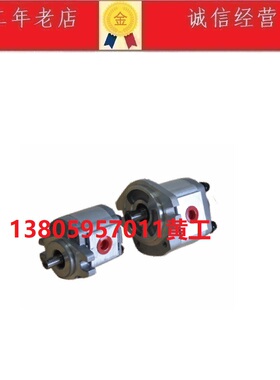 台湾康百世KOMPASS齿轮泵P211RP01DT,P214RP01DT, P216RP01DT