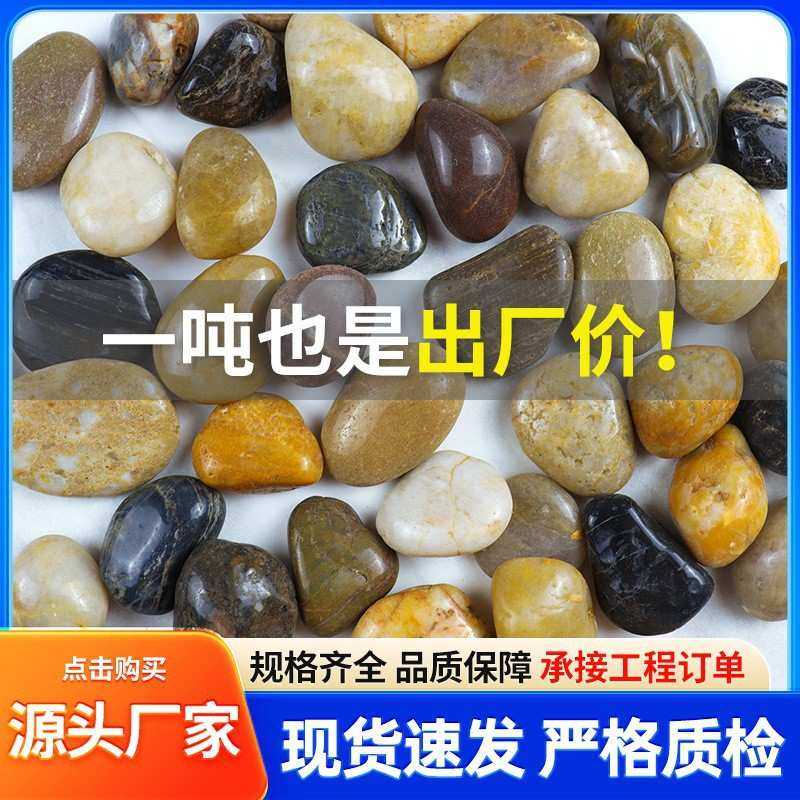 五彩精抛雨花石鹅卵石 工程铺路园林花园鱼缸造景装饰原石雨花石,鲜花速递/花卉仿真/绿植园艺,其它园艺用品,淘宝优惠券,粉丝福利购,淘宝优惠卷