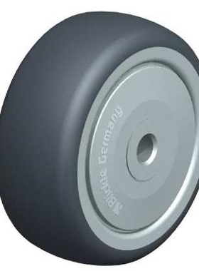 TPA 80/8K-FK  内孔8MM  灰色单轴承轮 滚动阻力      非常好脚轮