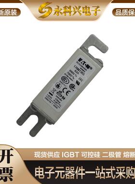 巴斯曼快速熔断器170M1365 1366 1367 1368 1369保险丝现货