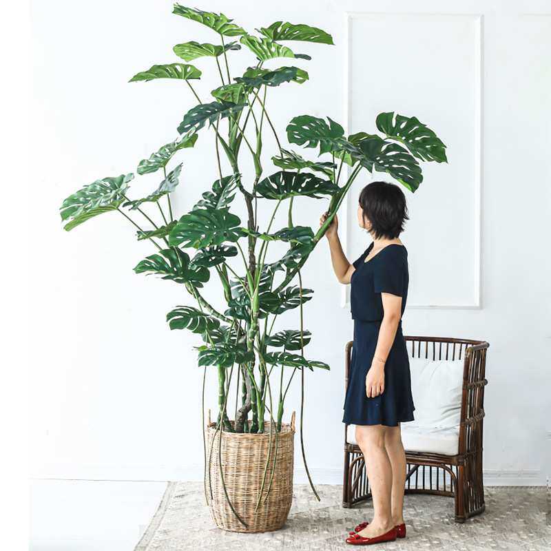 龟背竹假绿植盆栽室内装饰仿真植物摆件道具花艺 户外高仿真