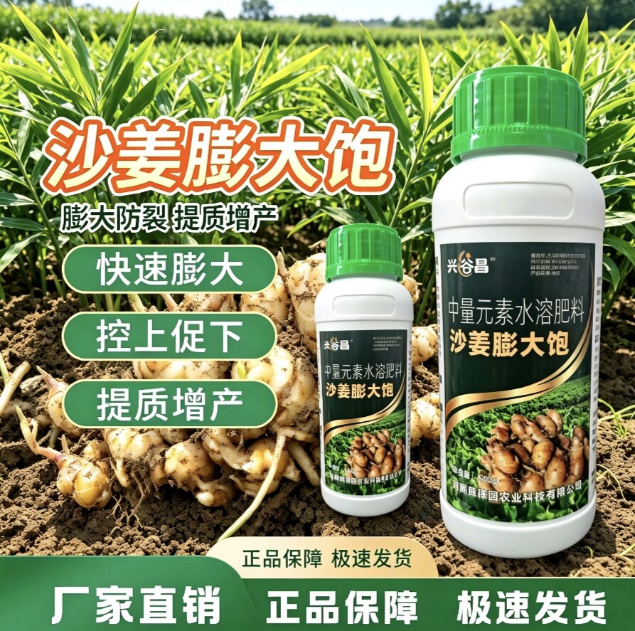 沙姜膨大素专用促进分芽膨大块根补充营养提质增产控旺促根水溶肥