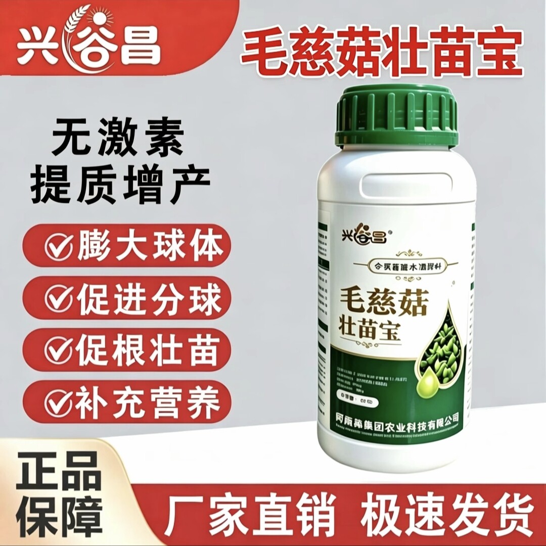 毛慈菇壮苗宝提苗促长膨大球茎增强光合叶片浓绿控旺提升植株抗逆