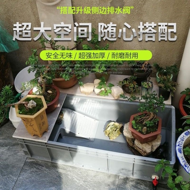 黄缘龟专用缸蝾螈饲养缸半水龟饲养箱甲鱼大型乌龟养殖箱盆龟龟池