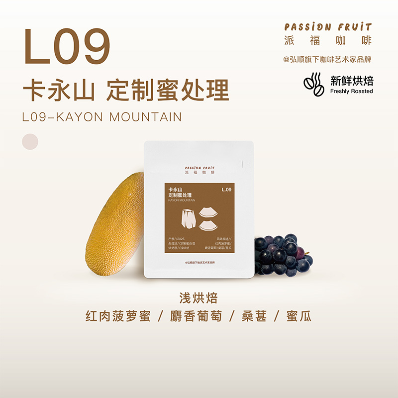 弘顺派福埃塞卡永山蜜处理咖啡豆