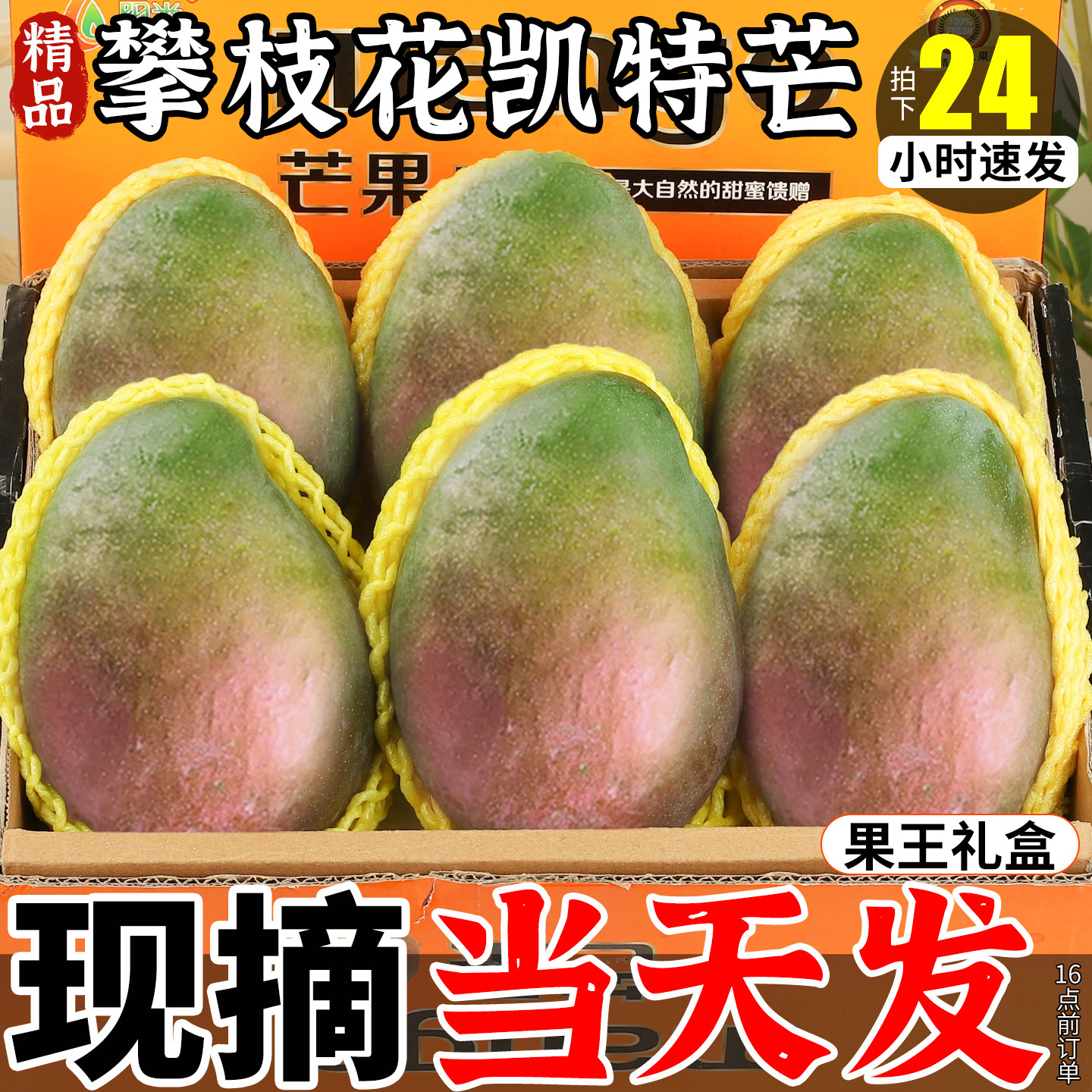 【官方推荐】现摘现发丨凯特芒