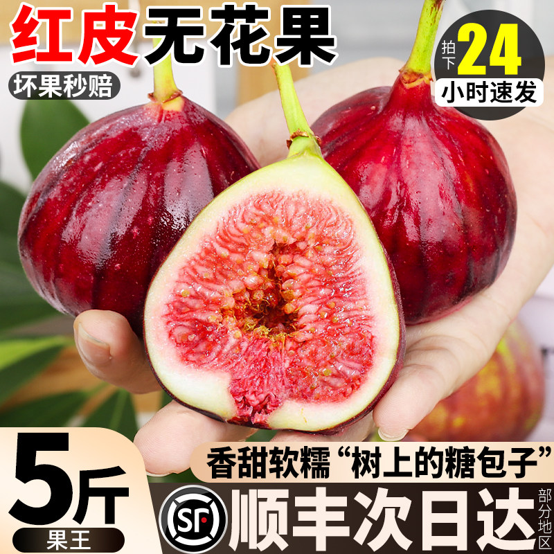 【顺丰现摘】四川红皮无花果鲜果特大甜糯无花果果王当季新鲜孕妇