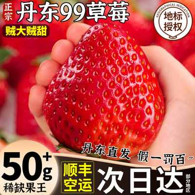 丹东直发地标授权|正宗99草莓