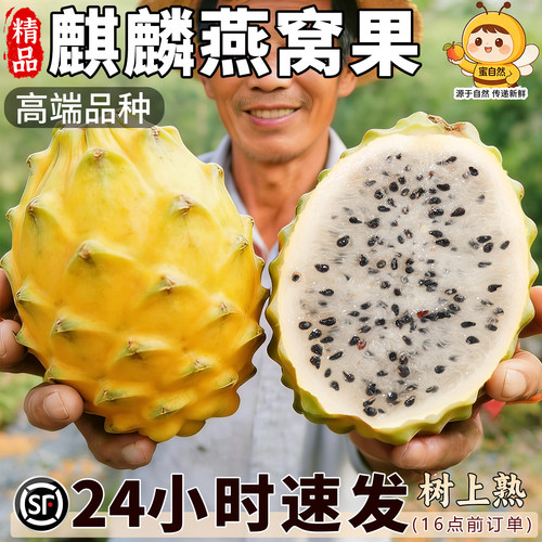 官方推荐丨燕窝果丨非普通火龙果