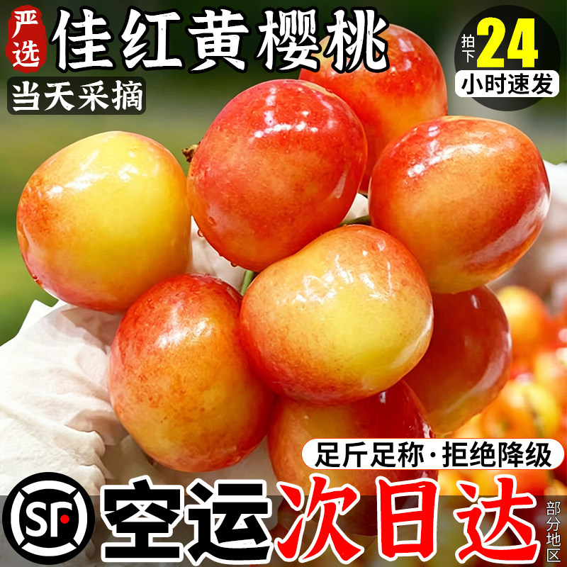 顺丰次日达，大连黄樱桃