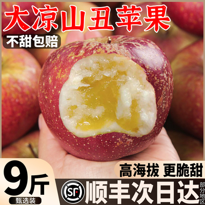 【2025年新果】大凉山丑苹果