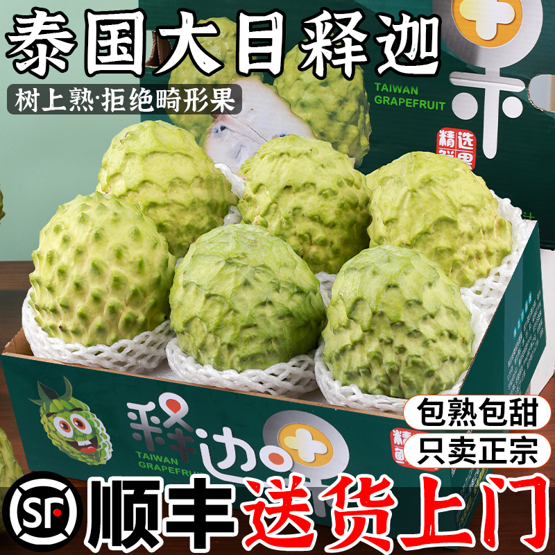 【顺丰次日达】正宗大目释迦闪发