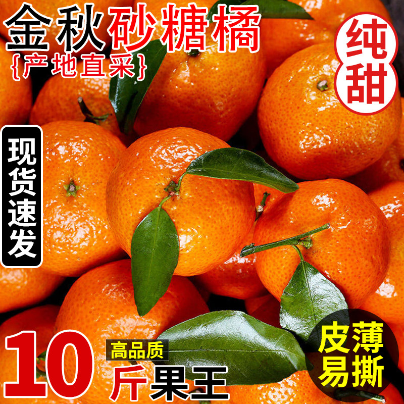现货正宗金秋砂糖橘橘子新鲜10当季水果斤薄皮纯甜柑橘蜜桔小桔子,水产肉类/新鲜蔬果/熟食,桔子,淘宝优惠券,粉丝福利购,淘宝优惠卷