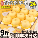 顺丰山东维纳斯黄金苹果新鲜水果当季 整箱雀斑奶油富士冰糖苹果正
