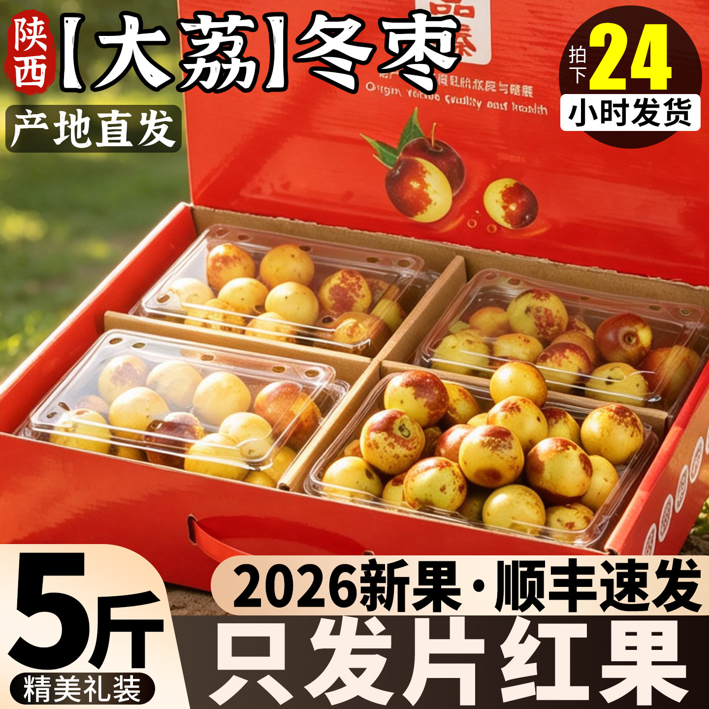 顺丰次日达丨大荔冬枣5斤现摘