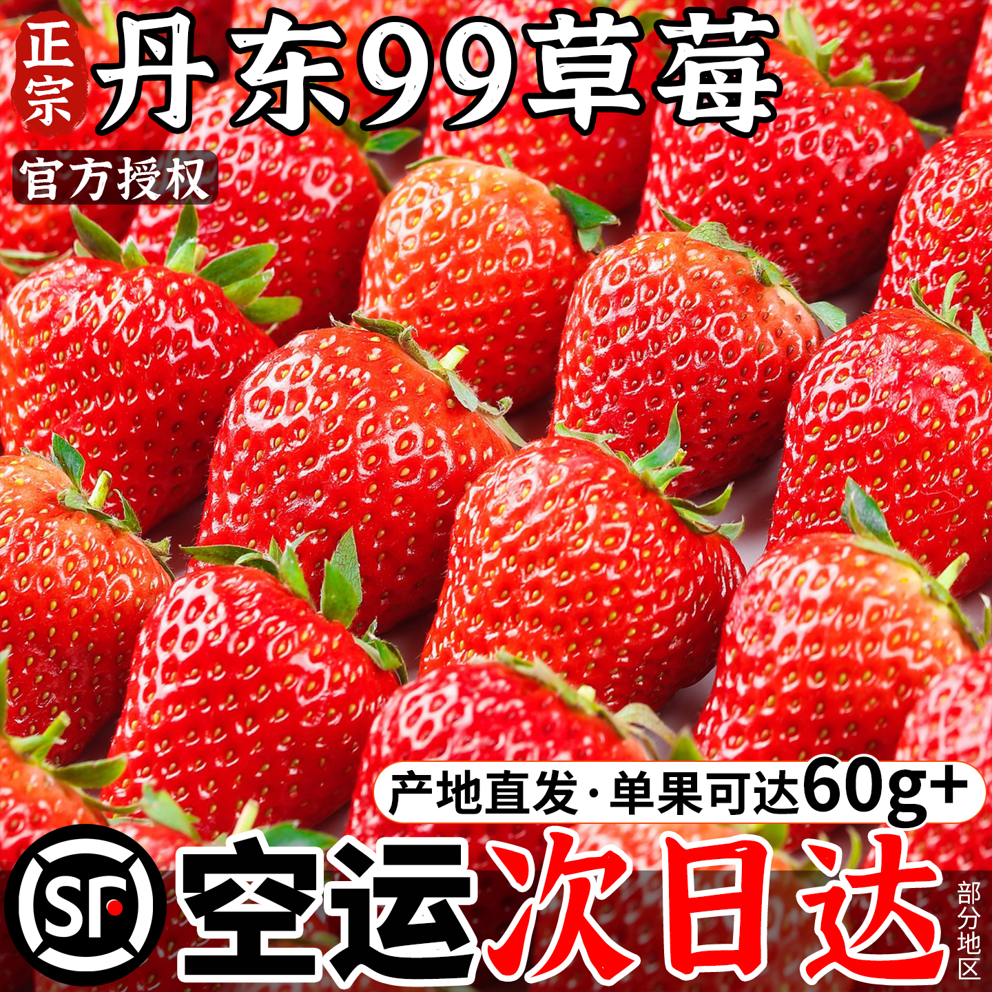 【假一罚十】丹东99草莓产地直发