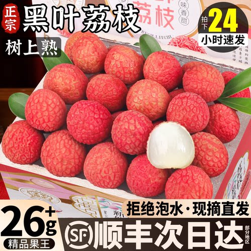 顺丰冷链丨黑叶荔枝当季尝鲜！