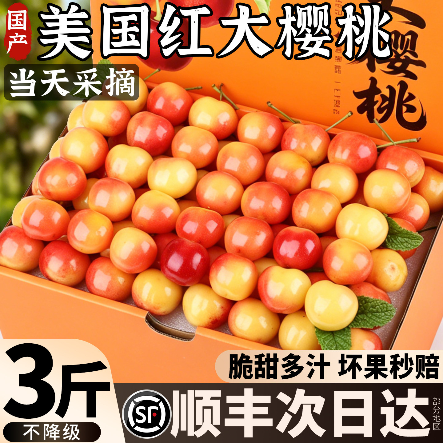 空运次日达丨凯迪雷拉佳红樱桃