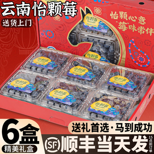 怡颗莓蓝莓新鲜水云南花香鲜果特大果6盒礼盒官方旗舰店非红果参