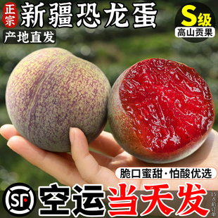 空运 新疆恐龙蛋李子新鲜水果4斤味帝龟兹龙珠当季整箱特产顺丰