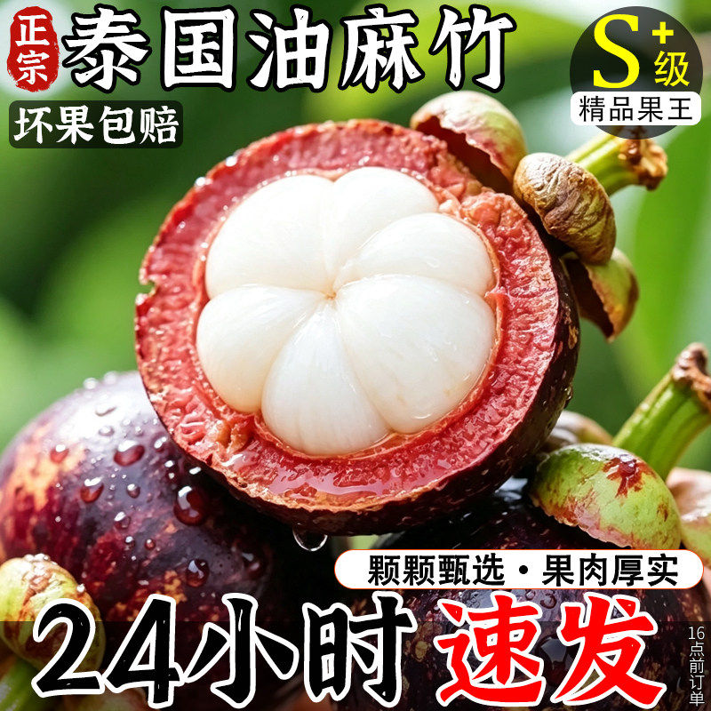 【官方推荐】泰国进口正宗油麻竹
