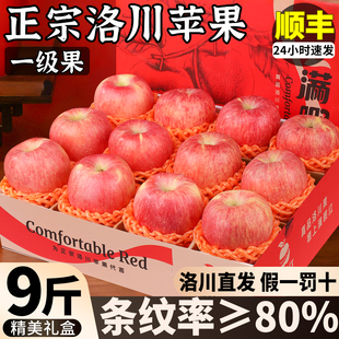 顺丰正宗洛川苹果水果新鲜应季克花红富士一级果产地直发彩箱包邮