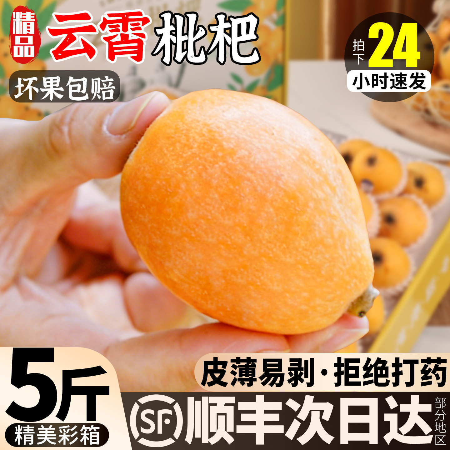 云霄枇杷鲜果新鲜水果正宗福建当季现摘5斤琵琶整箱彩箱顺丰包邮