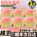 整箱毛白凤官方旗舰店 顺丰礼盒正宗阳山水蜜桃子新鲜水果无锡当季