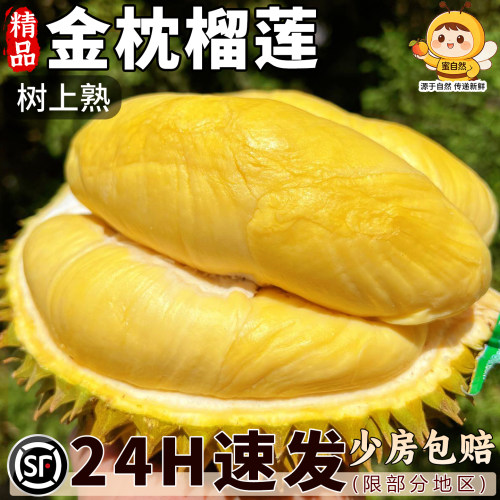 顺丰次日达丨泰国10斤金枕榴莲